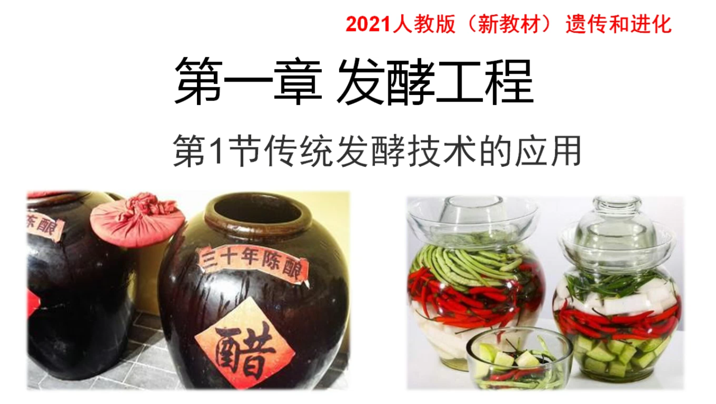 「生物选择性必修三」第一节 传统发酵技术