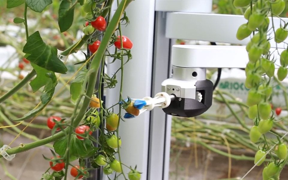 果蔬采摘机器人图片
