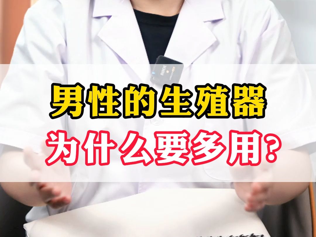 男性的生殖器为什么要多用?哔哩哔哩bilibili