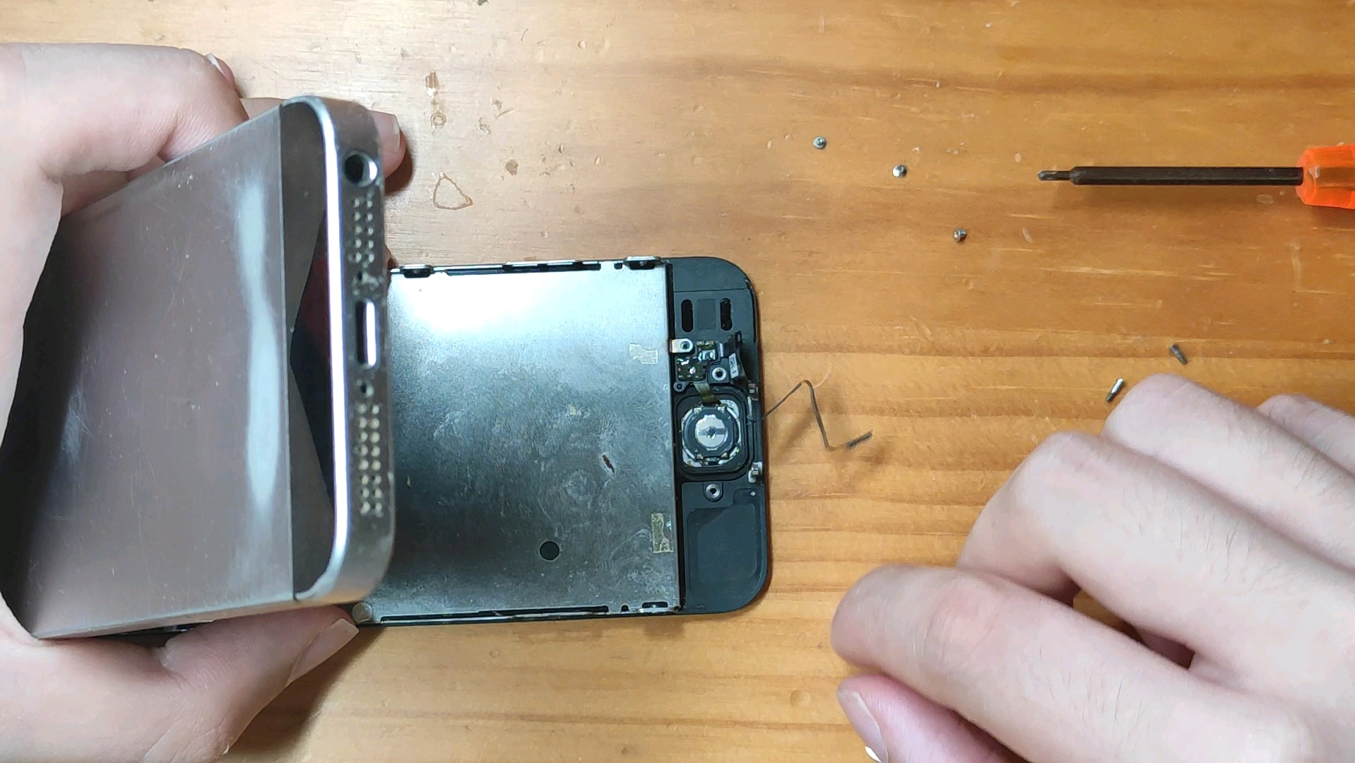 iPhonese/5s更换home键过程