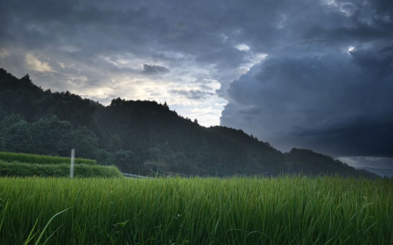 [图]“秋雨在我的枕上酣然入梦，我却睡意阑珊。”