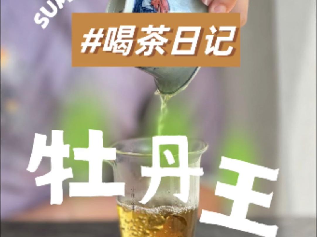 夏天该有的味道,不仅是满园花香,还有一杯香茶哔哩哔哩bilibili