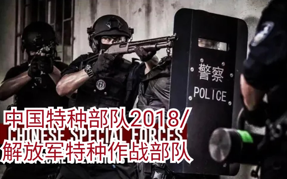 中国特种部队2018/解放军特种作战部队哔哩哔哩bilibili