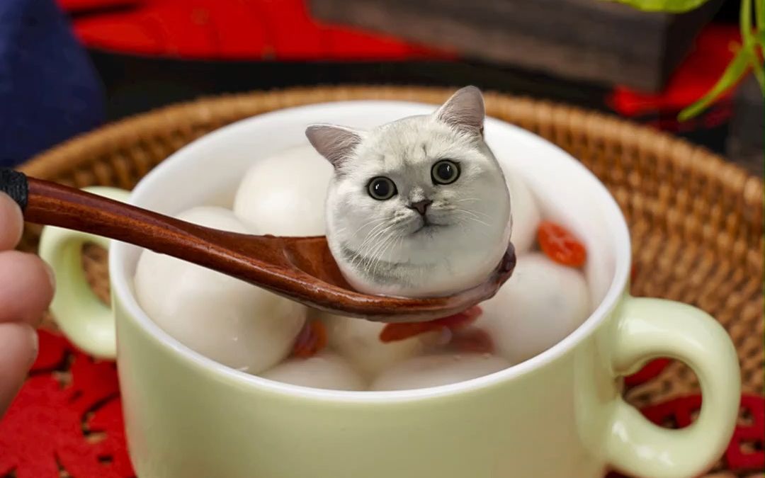 热腾腾小猫咪汤圆,你喜欢什么馅?