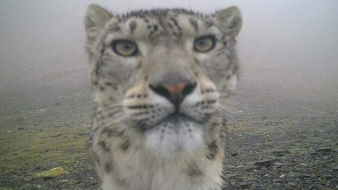 相机君的见证 | 雪山之王的独行之路