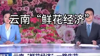 地理农业热点‖云南成为亚洲最大的花卉市场的优势条件?