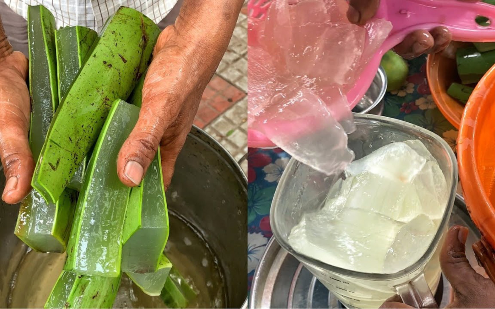 印度街头的特色芦荟汁和芦荟奶昔干净又卫生