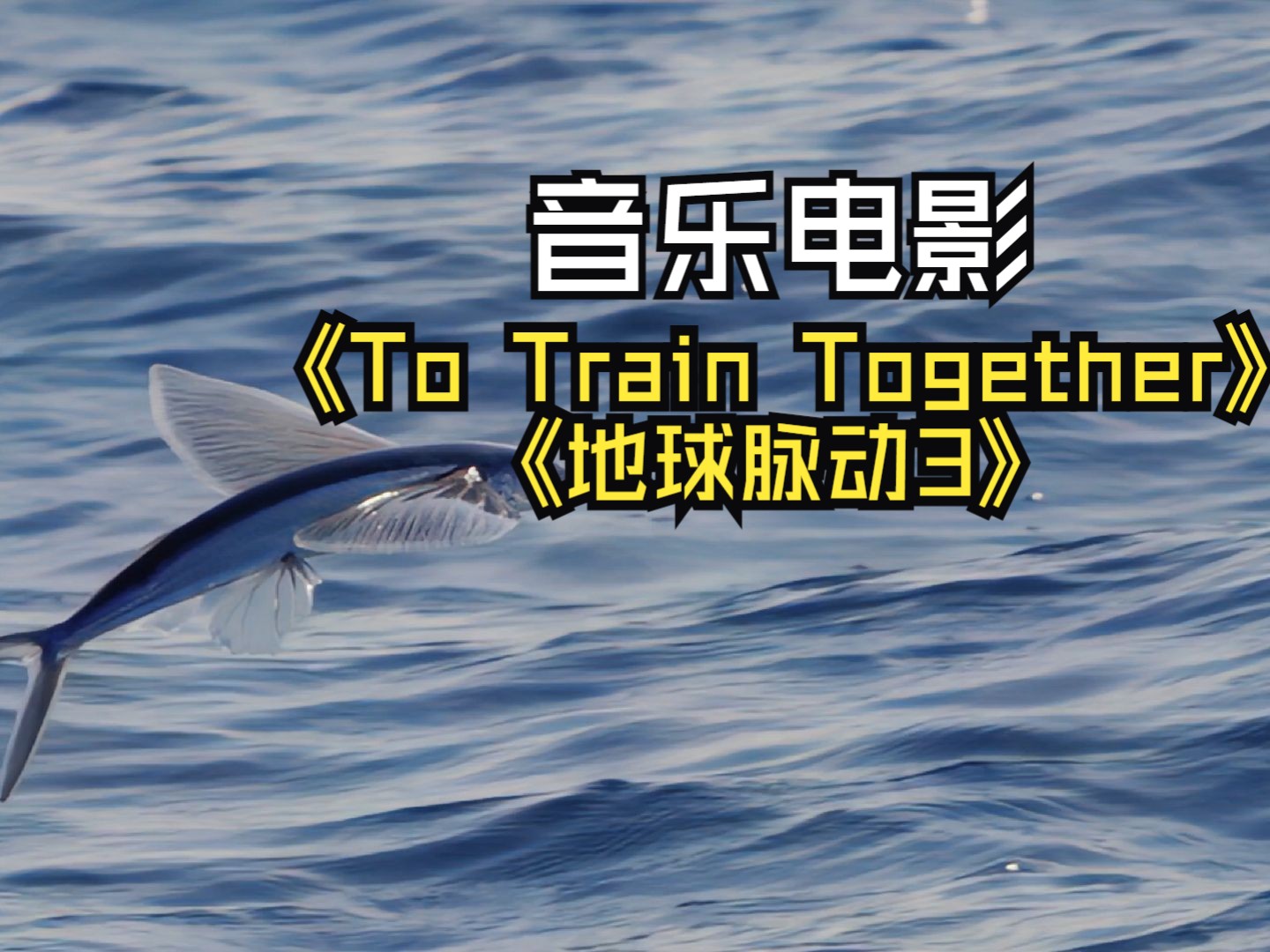 [图]音乐电影 - To Train Together by Jan - 地球脉动第三季