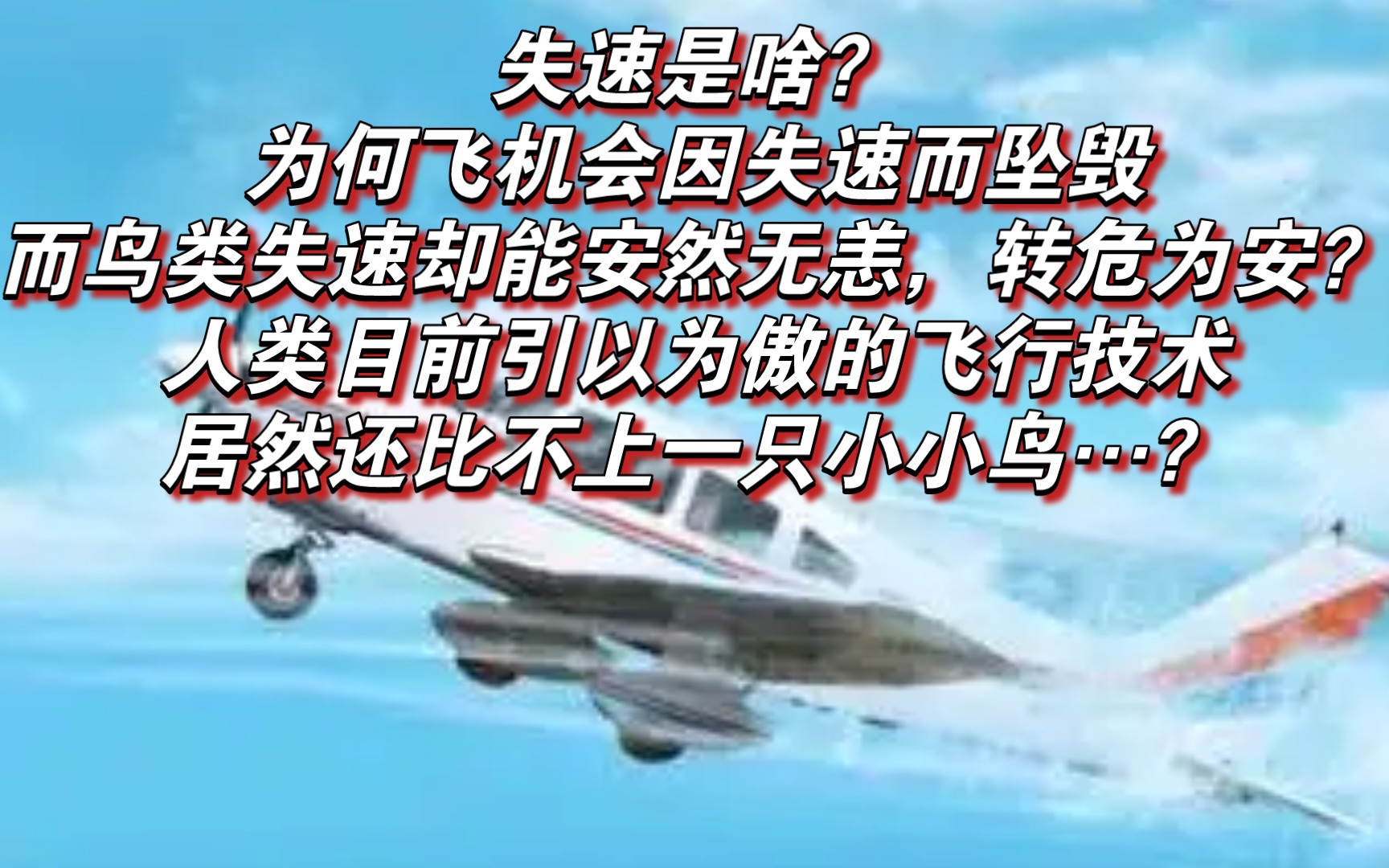 失速是啥?为何飞机会因失速而坠毁,而鸟类失速却能安然无恙,转危为安?人类目前引以为傲的飞行技术居然还比不上小小鸟…?哔哩哔哩bilibili