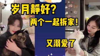 Tải video: 岁月静好 | 莱恩：创飞全世界（挨揍版 | 财财：睿婕贴jiu贴wo