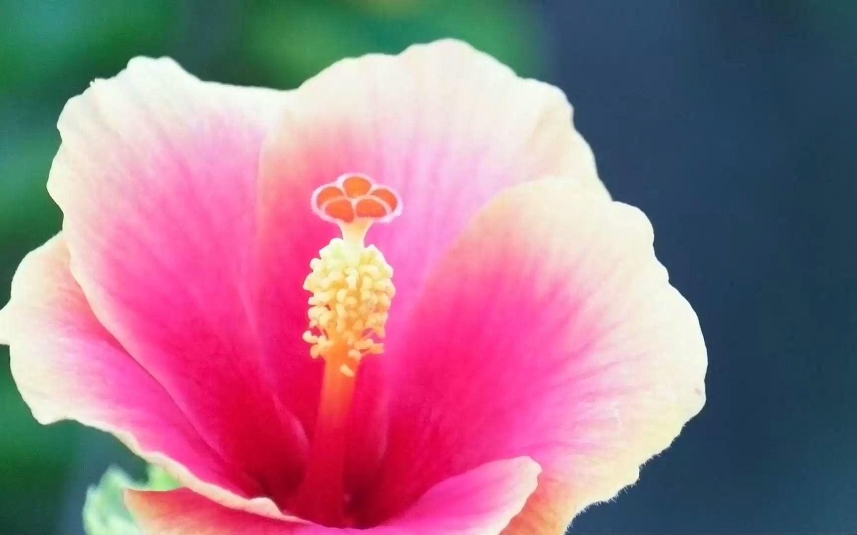 趣玩绘本阅读课程