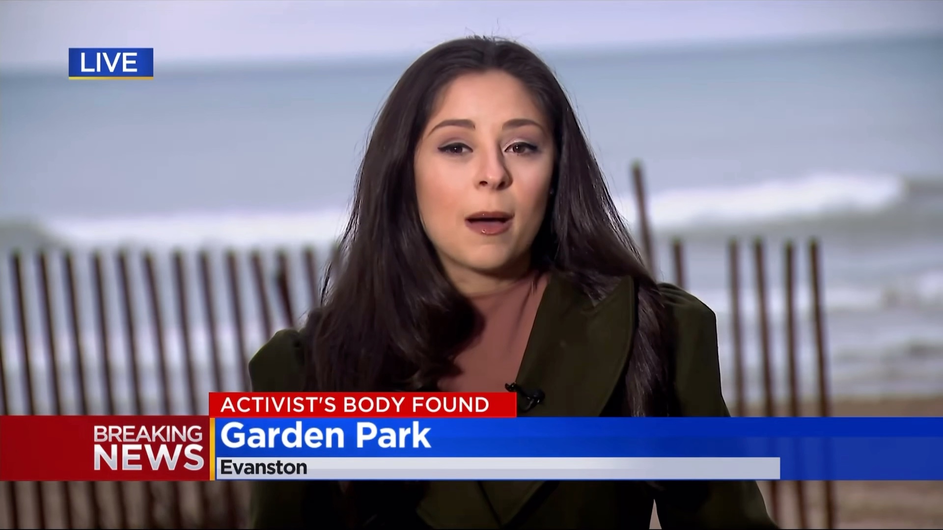 [图]Elise Malary, Missing Since Last Week, Found Dead In Lake Michigan In Evanston