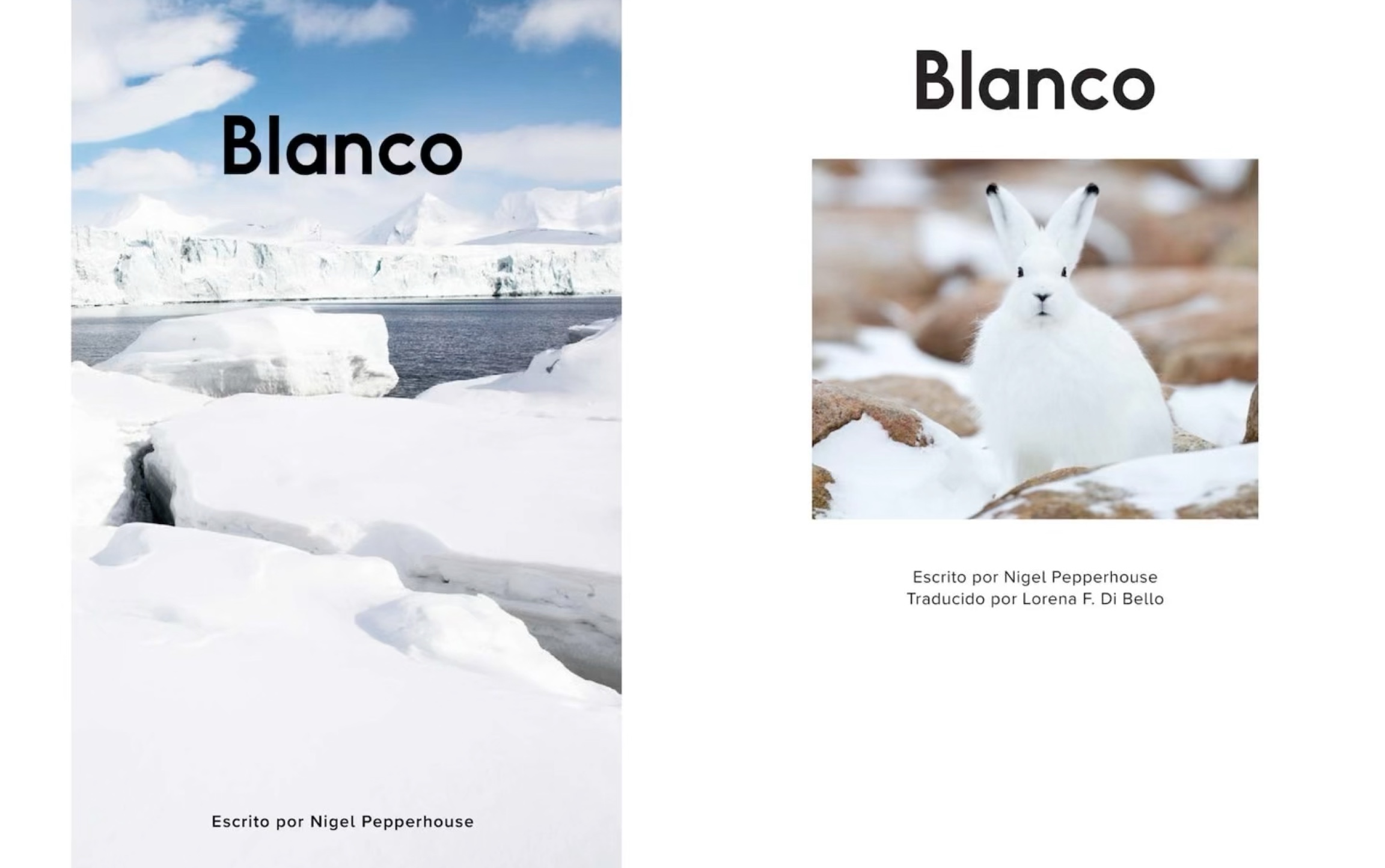 【raz 西语】aa-blanco