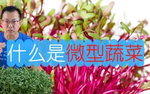 Download Video: 什么是微型蔬菜？微型蔬菜的营养价值，微型蔬菜如何种植