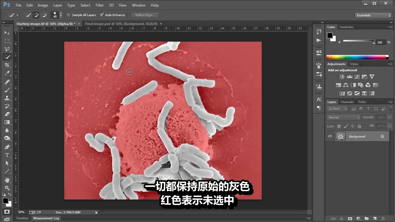 PS系列之——Photoshop for the Scientist Intermediate Lessons哔哩哔哩bilibili