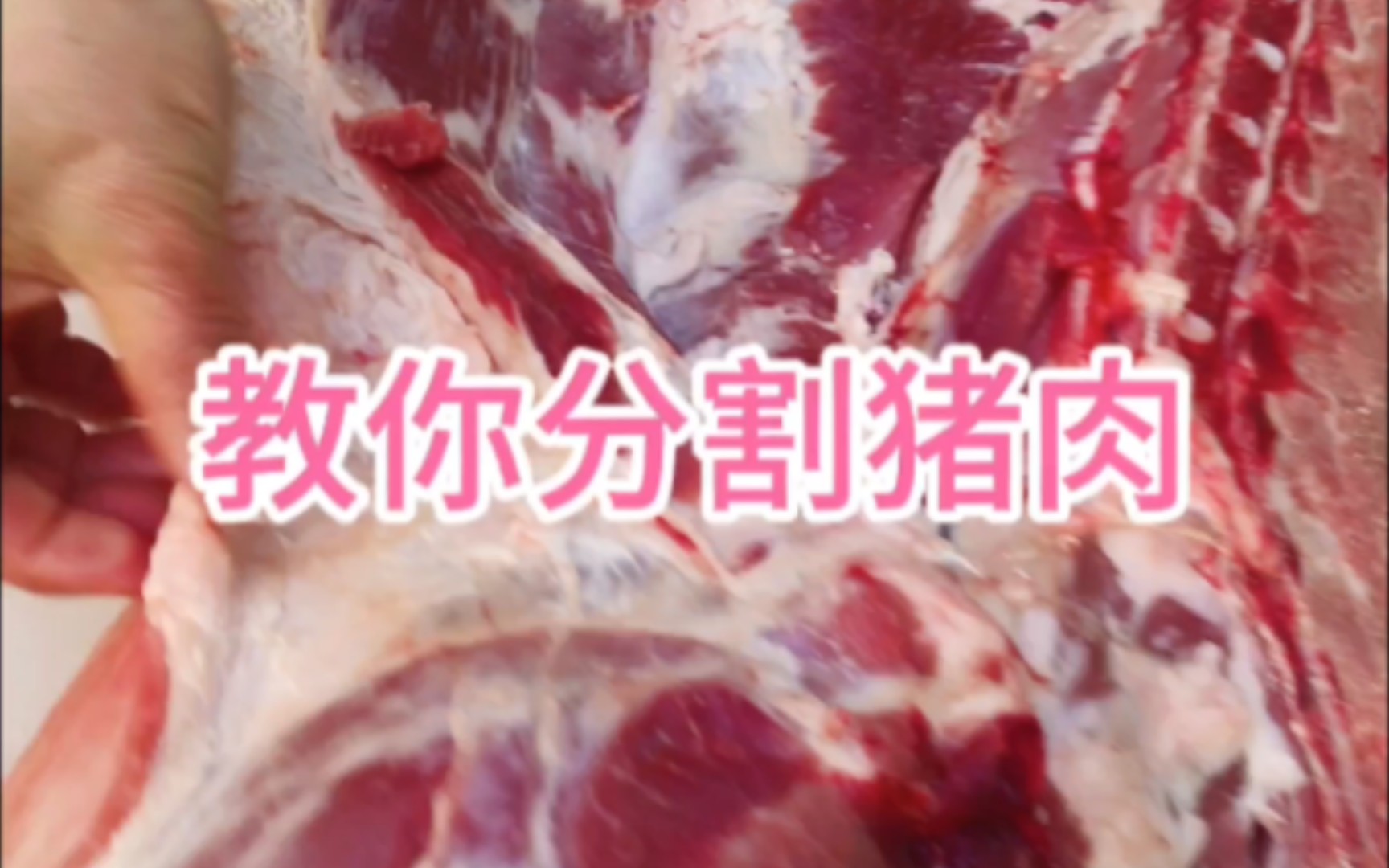 教你分割猪肉哔哩哔哩bilibili