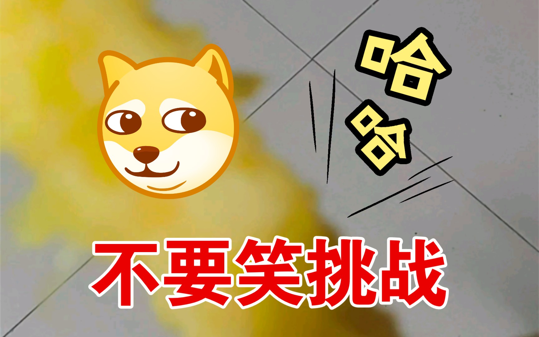 活动作品搞笑女我可真是个小机灵鬼