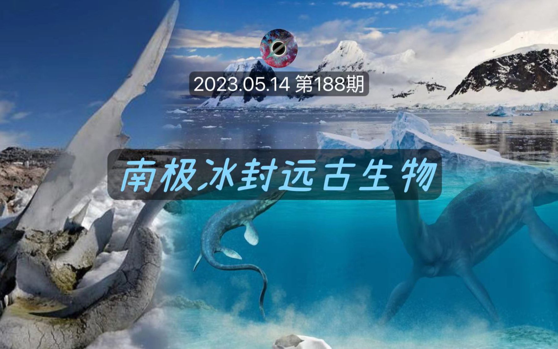 [图]南极冰封远古生物