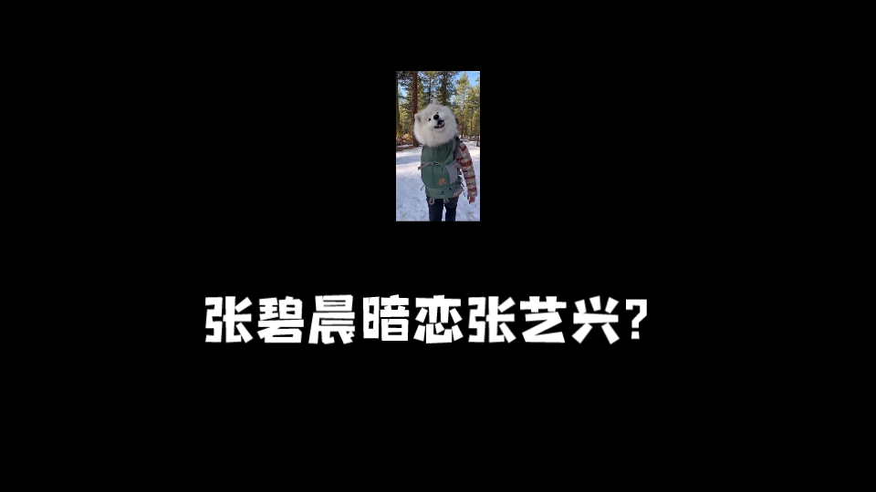 张碧晨暗恋张艺兴?网友偶遇张碧晨去看了张艺兴北京演唱会,本来只是两个艺人的互动,不过张艺兴的粉丝重点关注是张碧晨以前是张艺兴的私生饭,而且...