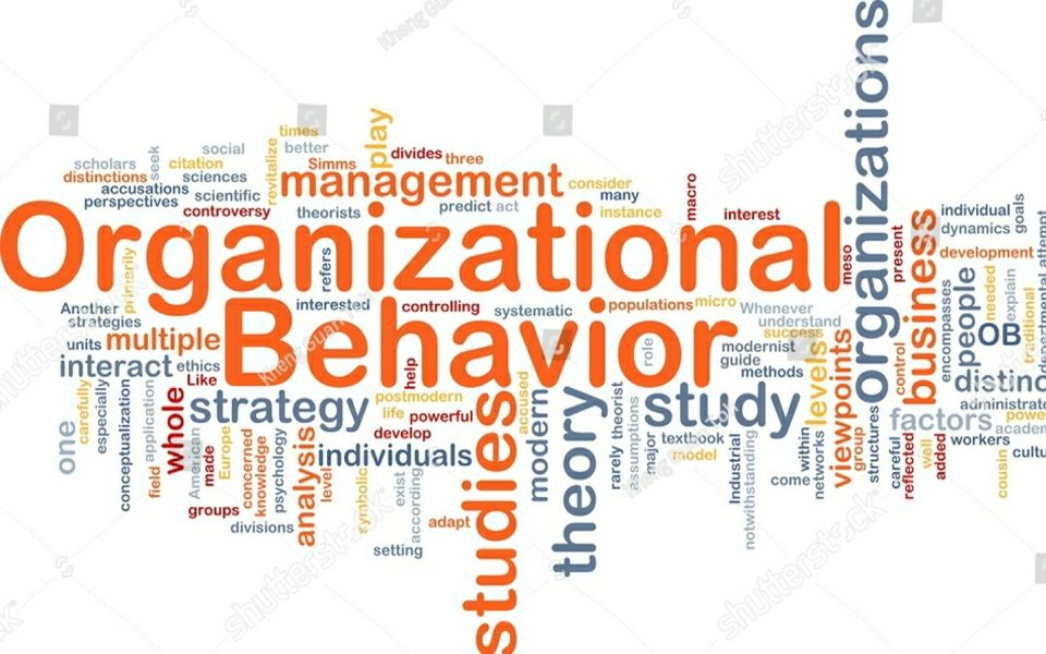 OB Topic 2 Behavior, Personality, & Values(组织行为学 行为,个性&价值)哔哩哔哩bilibili