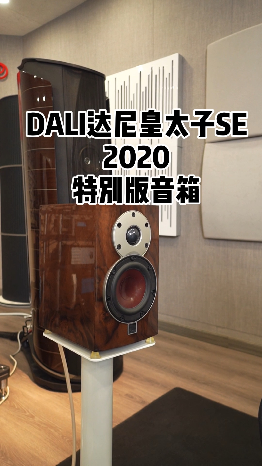 DALI/达尼 皇太子SE 2020特别哔哩哔哩bilibili