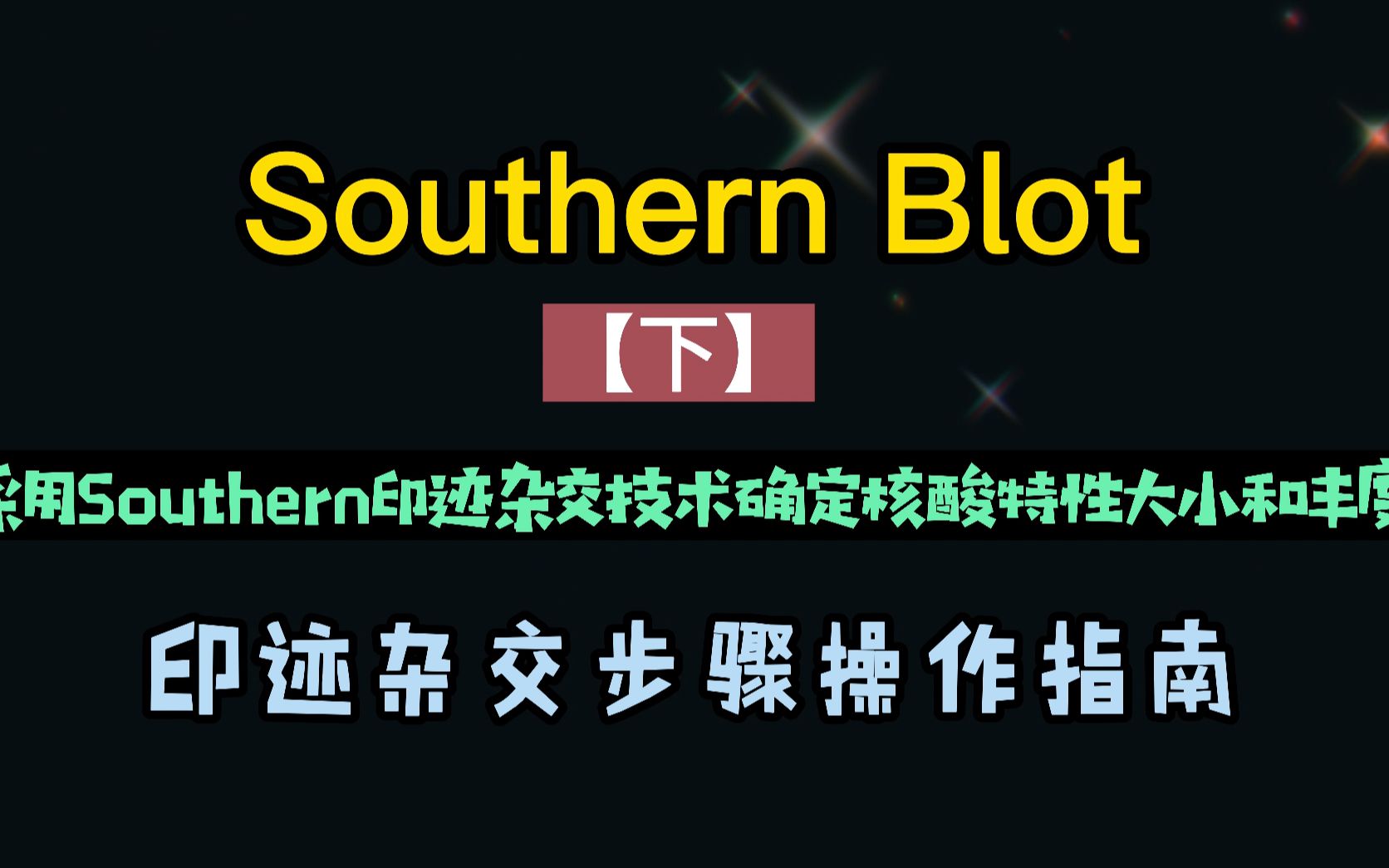 [图]Southern印迹杂交技术操作流程（下）集