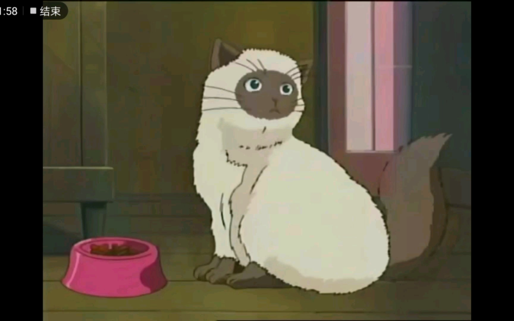 【网球王子】卡鲁宾_哔哩哔哩_bilibili