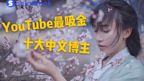 盘点 Youtube十大中文博主 个个年收百万