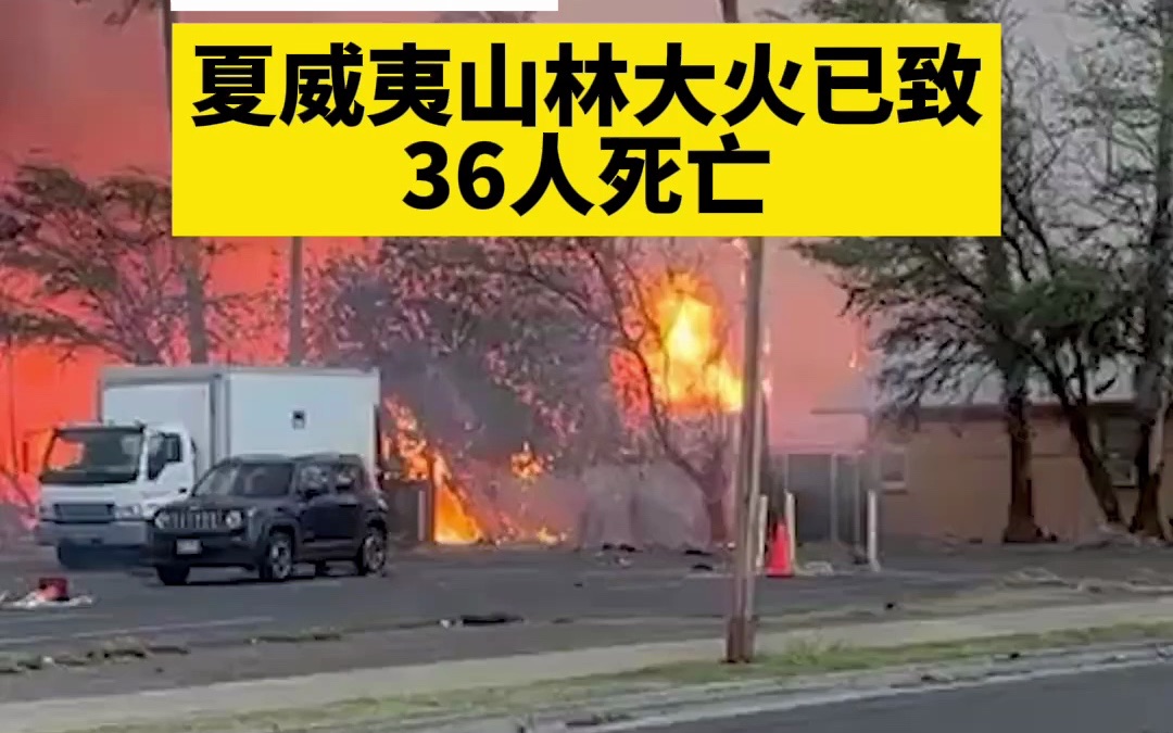 最新消息:夏威夷山林大火已致36人死亡哔哩哔哩bilibili