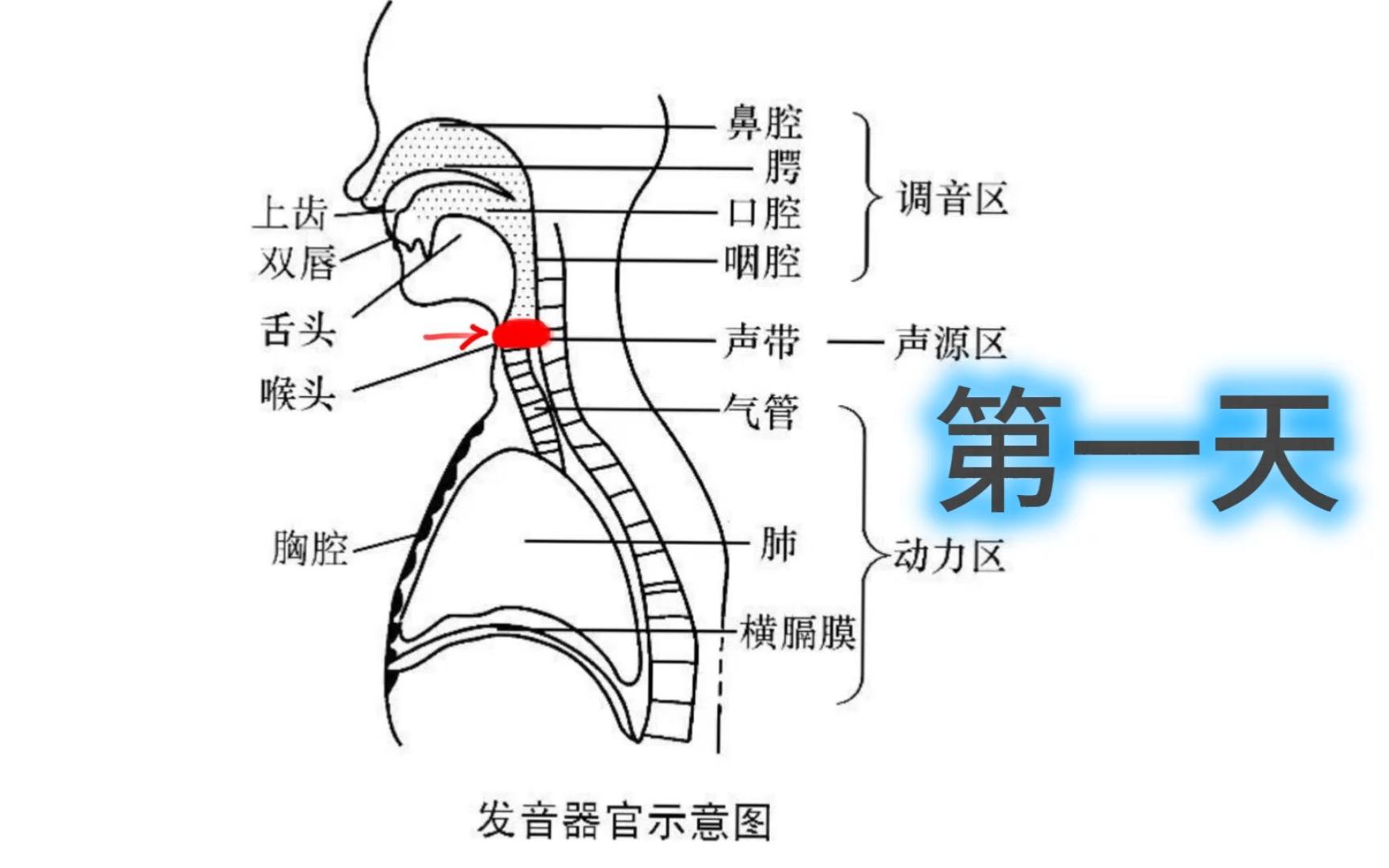 阳性日记ⷨ𝕥…�駚„症状变化(新冠搬家史)哔哩哔哩bilibili