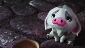 海洋奇缘 性感的小猪猪 在线卖萌 哔哩哔哩 つロ干杯 Bilibili 海洋奇缘 性感的小猪猪 在线卖萌 哔哩哔哩 つロ干杯 Bilibili