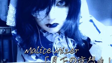 MALICE MIZER - 薔薇に彩られた悪意と悲劇の幕開けLive_哔哩哔哩_bilibili