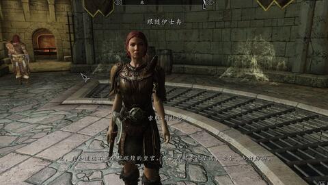 上古卷轴5 我的天际43 用辛丁一条命换取几条猎人的命值吗 巧杀辛丁 哔哩哔哩