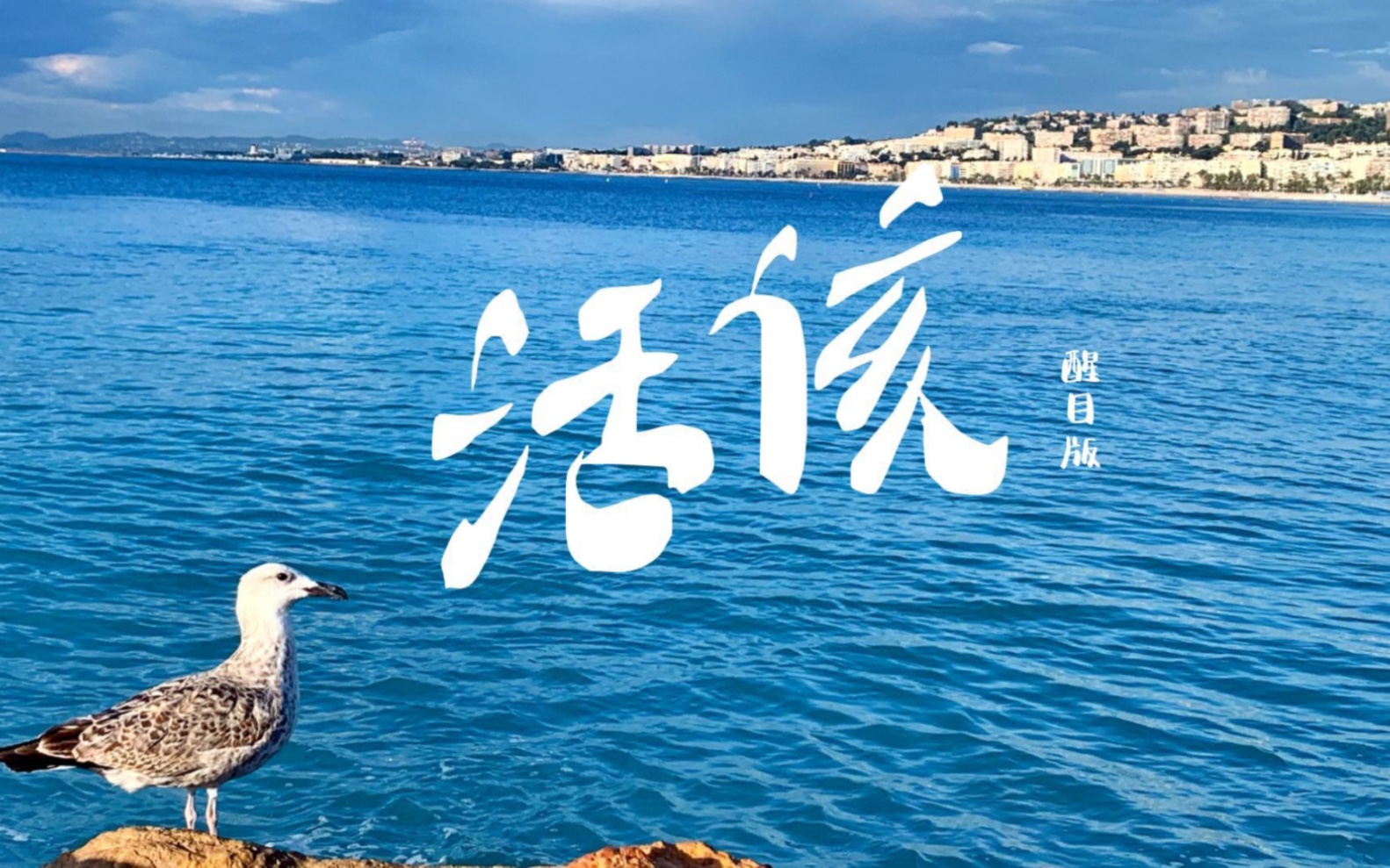 《活该》手写信版|苏醒出道15周年纪念