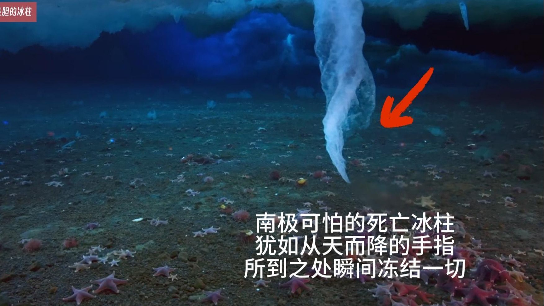 最可怕的死亡冰柱