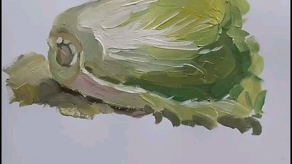 简单易学的水粉静物白菜画法 色彩静物 简单易学