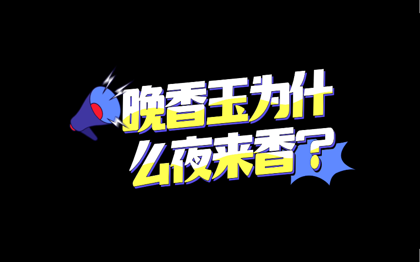 每日科普——晚香玉为什么夜来香?哔哩哔哩bilibili