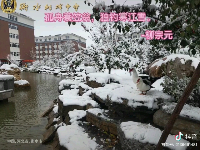 河北衡水第五中学(河北衡水桃城中学)の校园雪景哔哩哔哩bilibili