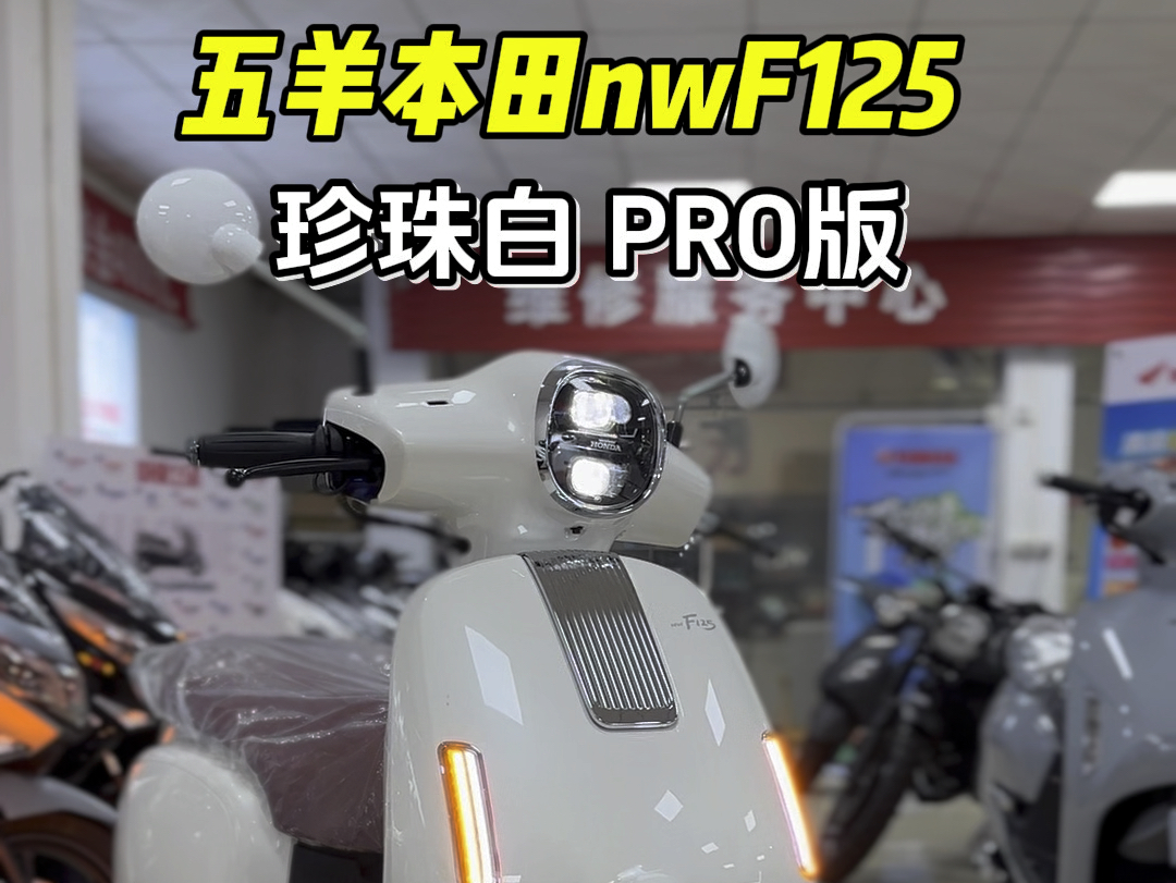 五羊本田nwf125珍珠白pro版