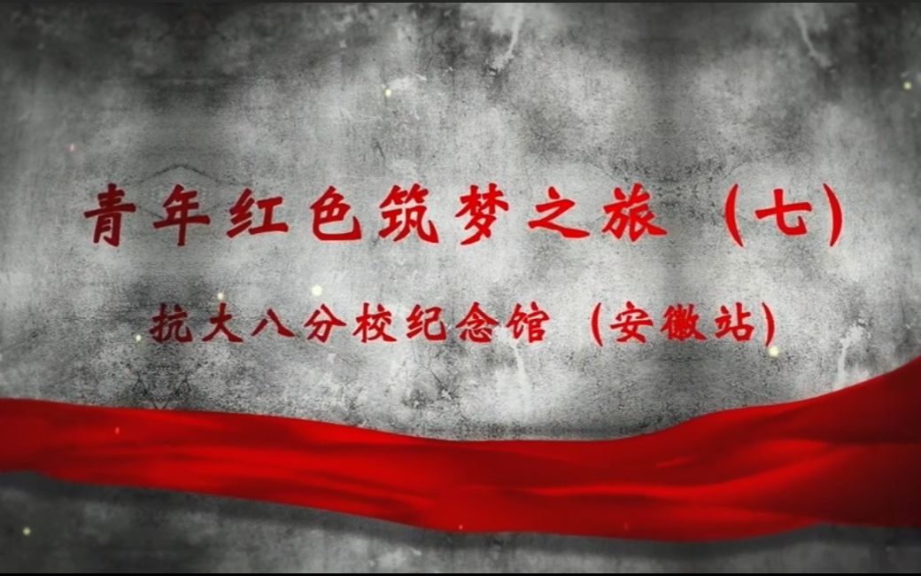 武汉大学青年红色筑梦之旅 | 安徽省天长市龙岗古镇抗大八分校哔哩哔哩bilibili