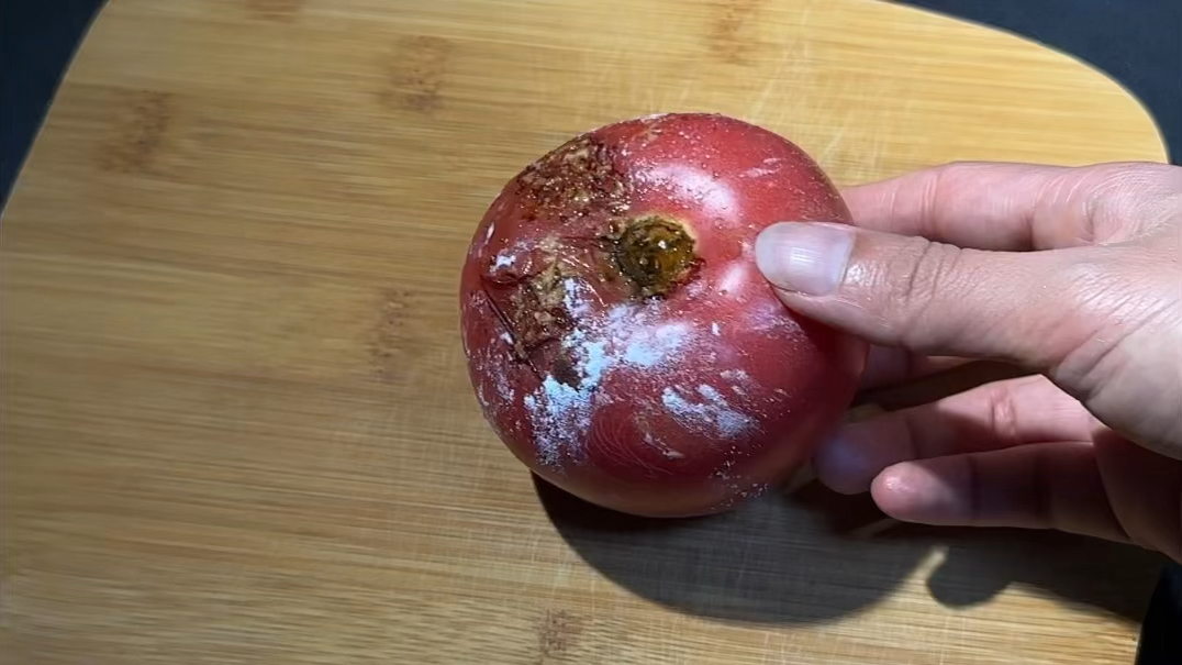 烂掉的西红柿别扔,越烂越值钱,赶紧回家试试