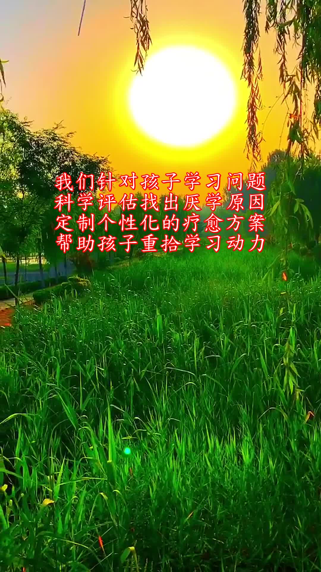 孩子缺乏自信,自我价值感低,坚果心理帮你孩子建立自信,勇敢追