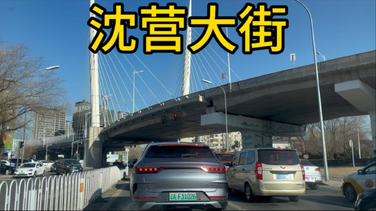 打卡沈阳浑南区沈营大街.