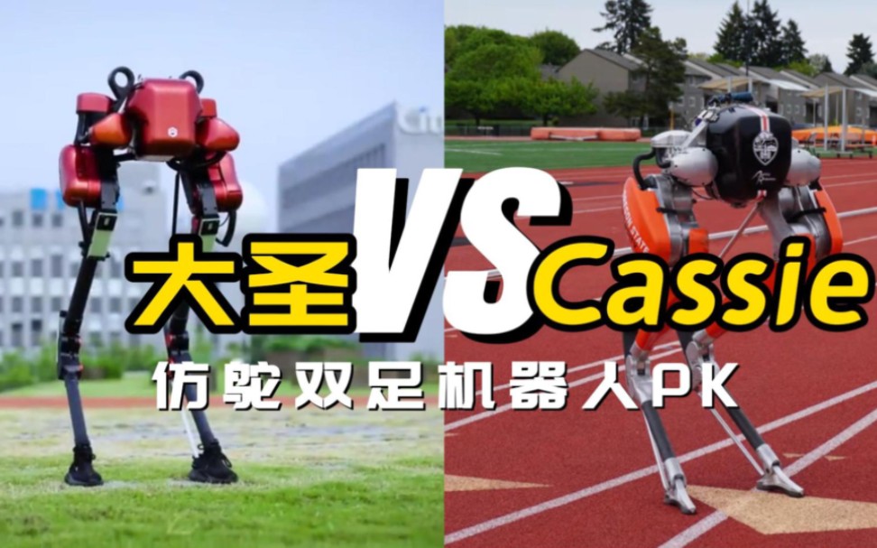 大圣 VS Cassie,国内首款对标Digit的仿鸵双足机器人哔哩哔哩bilibili