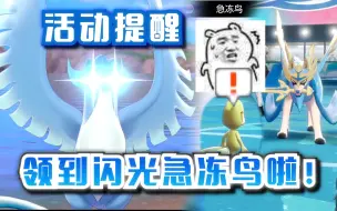 Download Video: 【宝可梦剑盾】领到异色急冻鸟啦！网络大赛闪光三神鸟活动