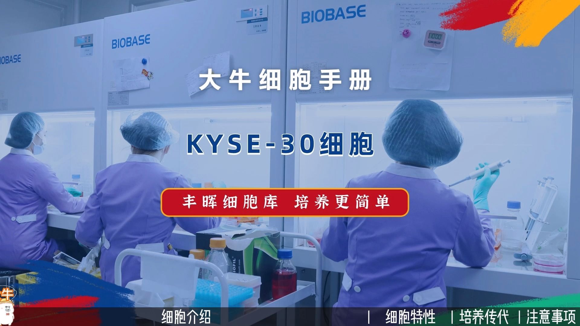 丰晖生物细胞库培养手册:KYSE30细胞培养,人食管鳞癌细胞培养攻略.哔哩哔哩bilibili