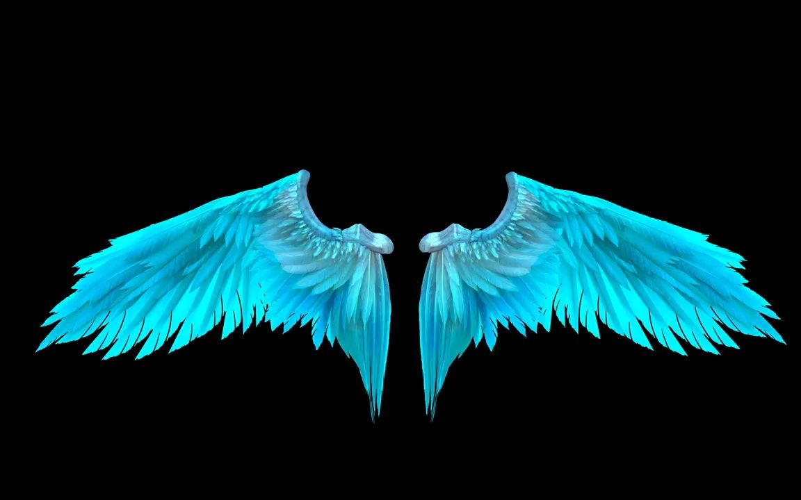 k2967 4k画质唯美蓝色天使的翅膀动画特效黑幕黑屏视频制作后期合成