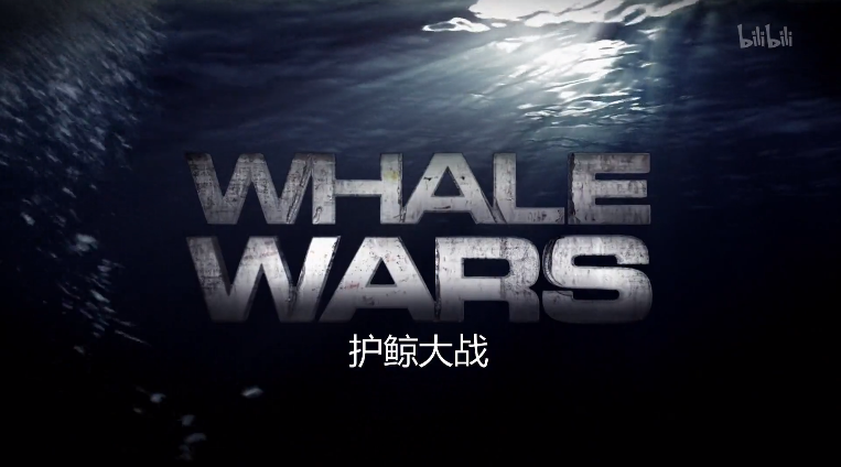 护鲸大战第四季第5集