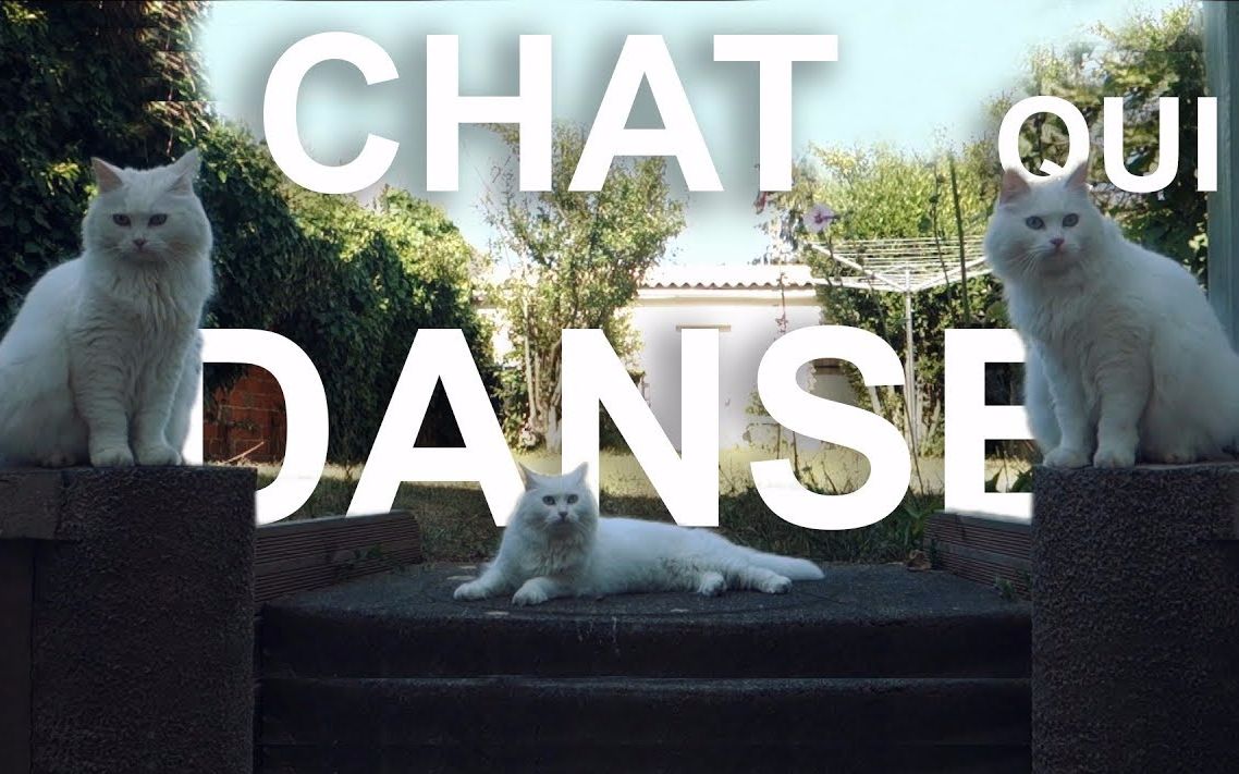 【法国毛片】Le Chat Qui Danse 跳舞喵哔哩哔哩bilibili