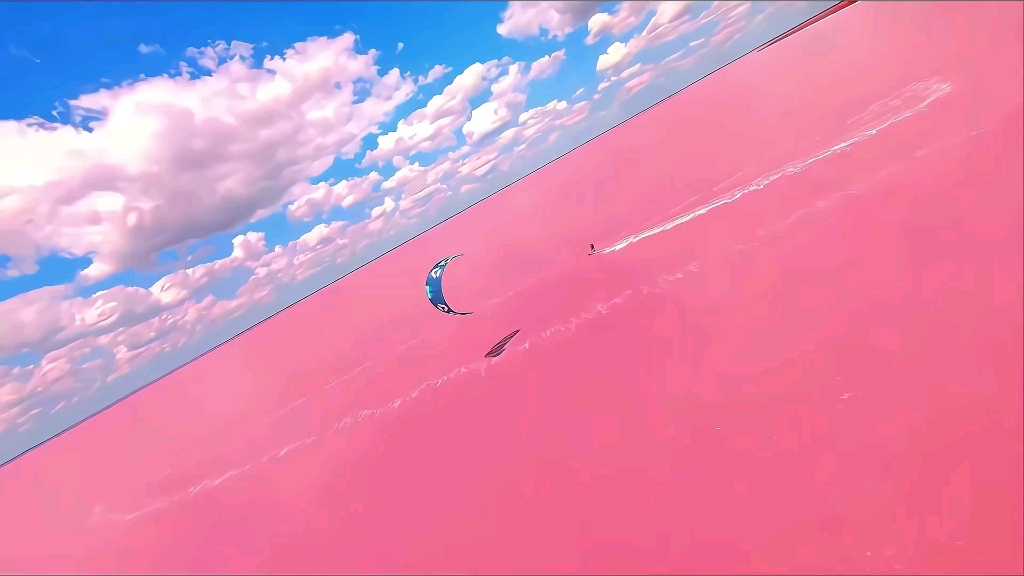 浪漫的粉色海洋❤️